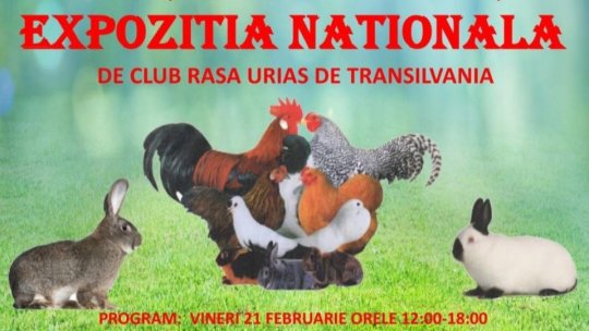 Expoziții de păsări și animale de rasă, în weekend, la Râșnov