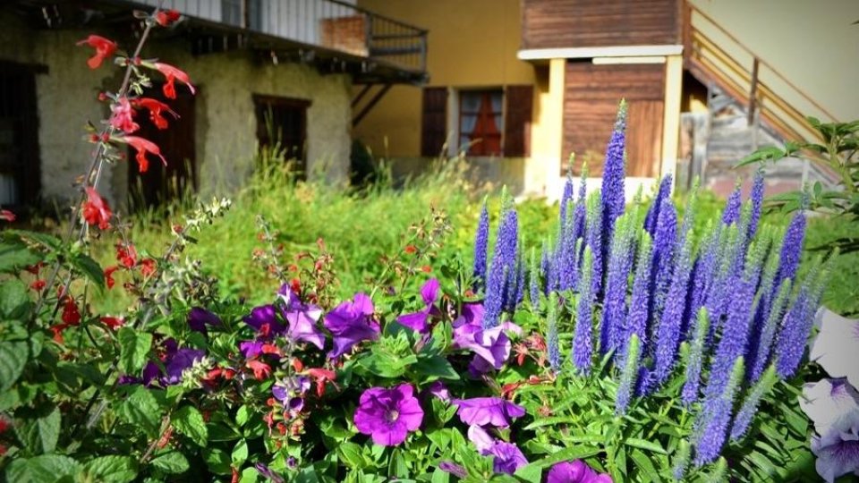 JURNAL DE CĂLĂTORIE. ”Viața la țară” în Franța rurală