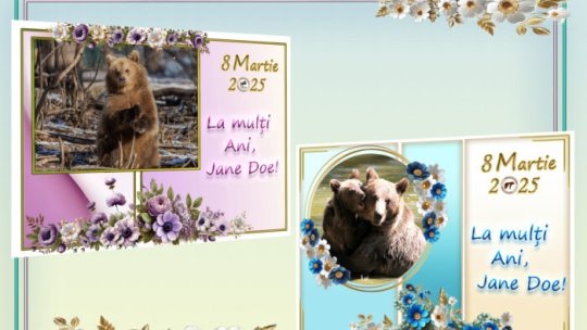 Felicitări care pot ajuta animalele Asociației Milioane de Prieteni