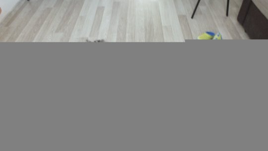 Doi copii ucraineni așteaptă aprobarea instanței judecătorești pentru a se întoarce în țara natală