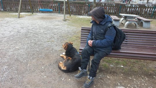 Un om al străzii a refuzat să stea la Adăpostul de Noapte pentru a nu-și părăsi prietenul necuvântător