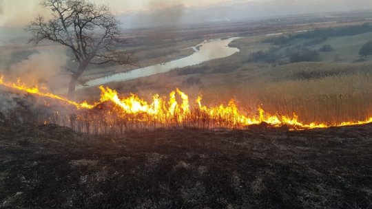 Intervenție pentru stingerea unui incendiu de vegetație în Mândra