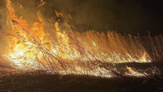 Incendiu la Delta din Carpați