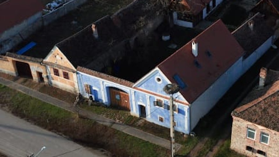 Vești bune de la Șona