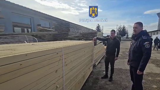 Dosare penale și amenzi pentru materialul lemnos