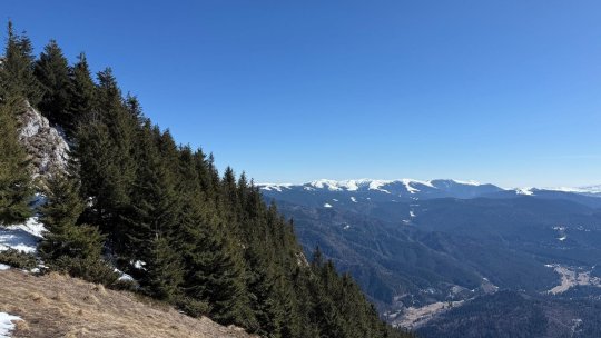 21 martie - Ziua internațională a pădurilor