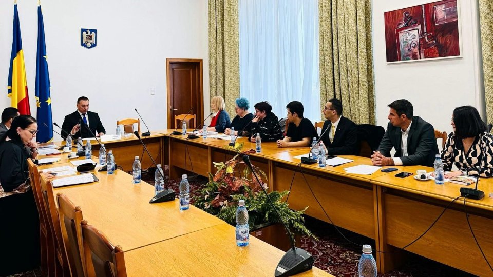 Discuții despre adopțiile internaționale, în Parlamentul României
