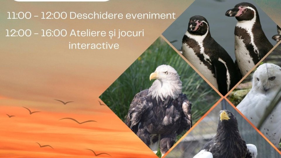 Zoo Brașov marchează Ziua Internațională a Păsărilor