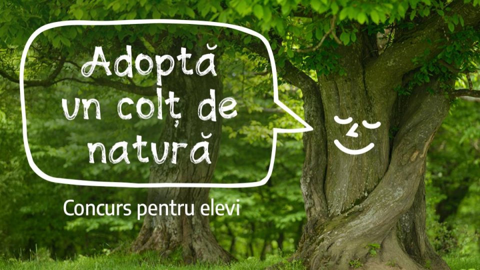 „Adoptă un colț de natură” în Munții Făgăraș