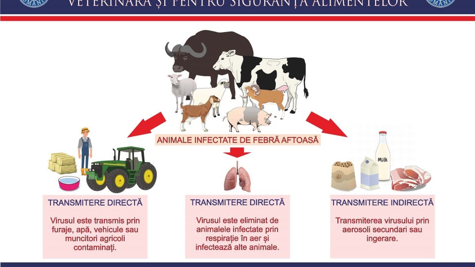 Conducerea ANSVSA, o nouă întâlnire de urgenţă cu reprezentanţi ai asociaţiilor crescătorilor de animale