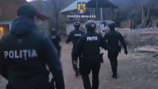 VIDEO 10 percheziții domiciliare într-un dosar de tăiere fără drept și furt de arbori