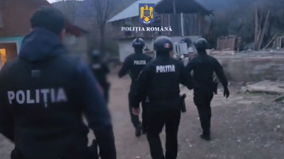 VIDEO 10 percheziții domiciliare într-un dosar de tăiere fără drept și furt de arbori