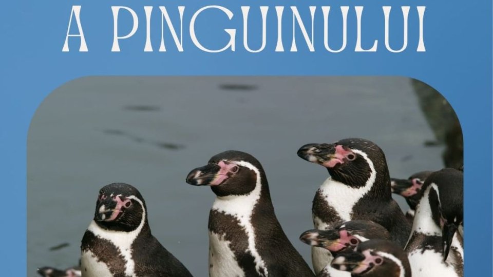 Ziua Mondială a Pinguinului va fi marcată la Grădina Zoologică