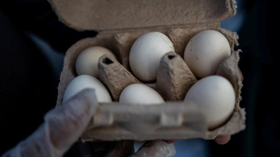 Prudență la alimente și după Paște
