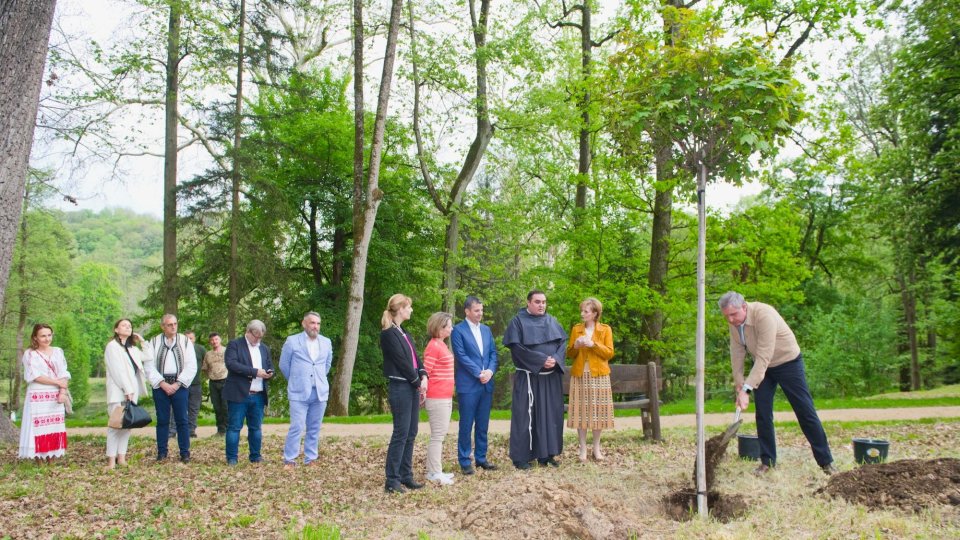 Copac plantat în amintirea Papei Francisc