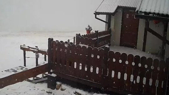 ”Zăpada mieilor” poate afecta culturile și pomii înfloriți