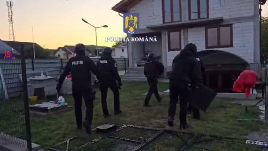 Doi bărbați reținuți într-un dosar penal deschis pentru proxenetism | VIDEO