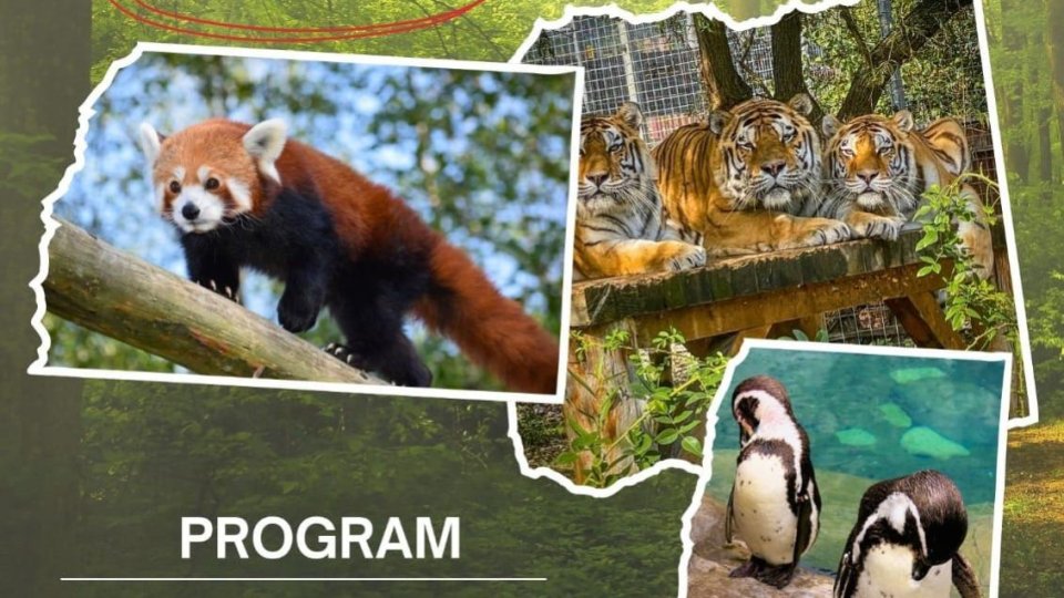 Ziua Internațională a Biodiversității, joi, la Zoo Brașov