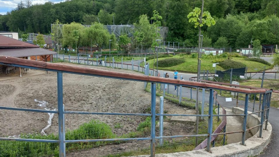 Ziua Mondială a Biodiversității, la Zoo Brașov