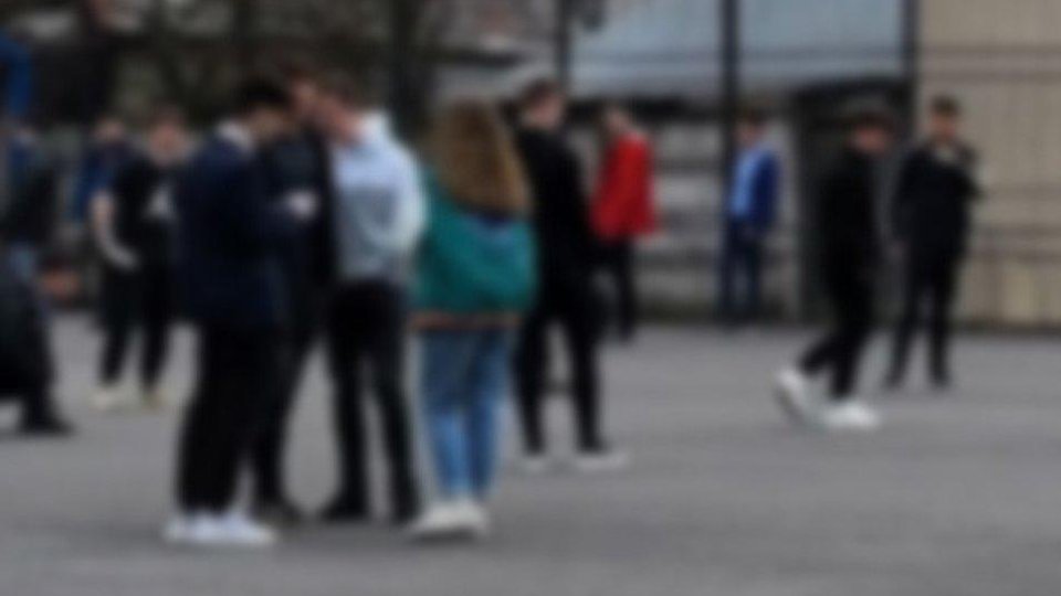 „Butonul roșu” în școli