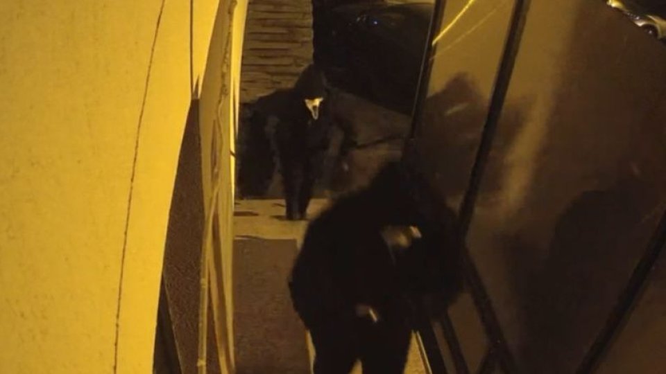 VIDEO Suspecții care au dat spargerea la o sală de jocuri din Brașov în ianuarie au fost extrădați din Anglia
