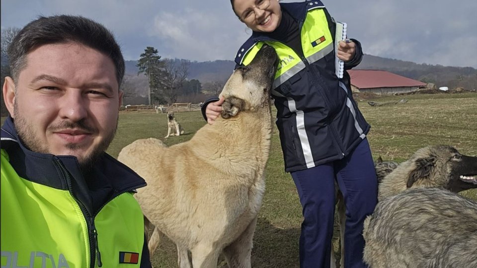Poliția Animalelor, amenzi și un dosar penal la Sânpetru