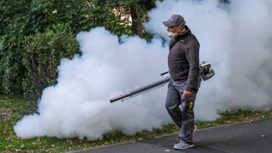 O nouă campanie de dezinsecție în Brașov