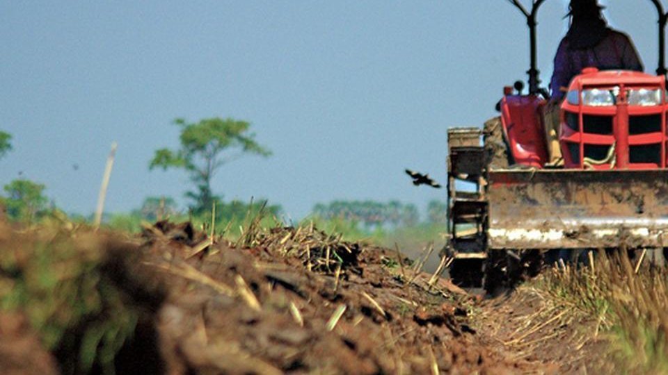 Eliminarea taxării inverse în comerţul cu cereale ar stimula şi mai mult frauda cu TVA în domeniu