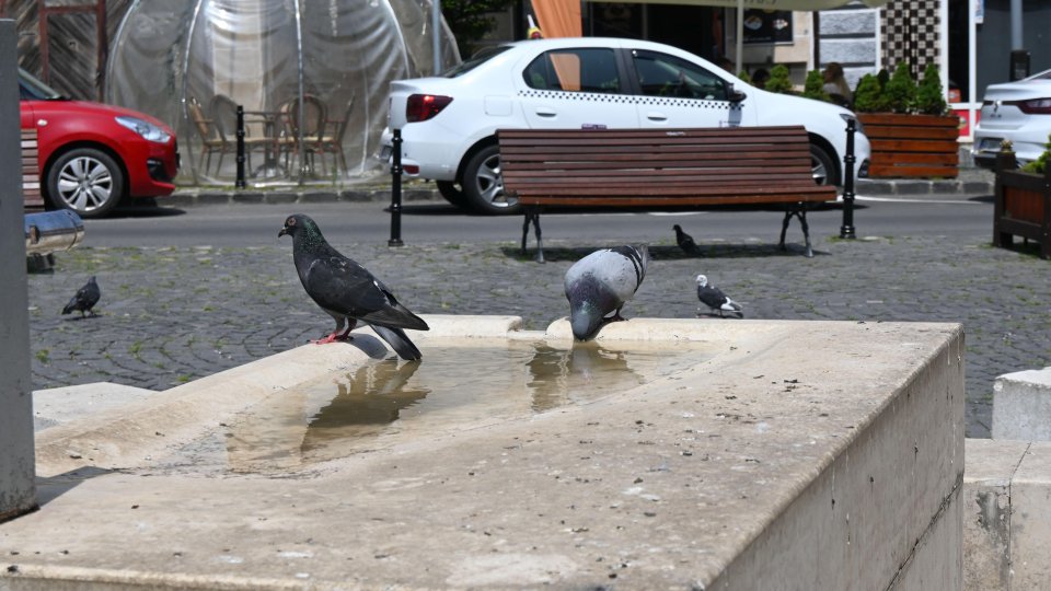 Valul de căldură se intensifică. Recomandări ISU