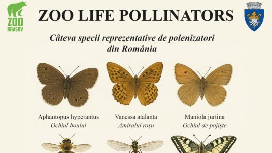 Zoo Brașov – singura grădină zoologică din România implicată într-un proiect european de conservare