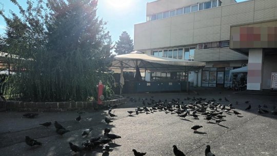 Incident în zona Pieței Star