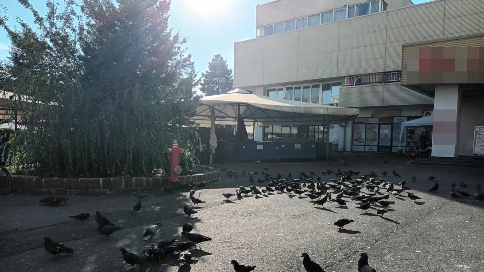 Incident în zona Pieței Star