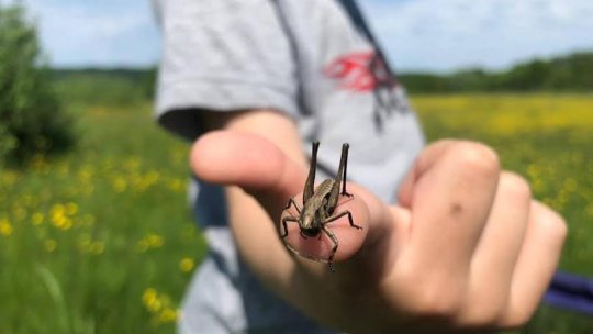 „Educație cu vedere la natură”, noul proiect al Asociației Colinele Transilvaniei