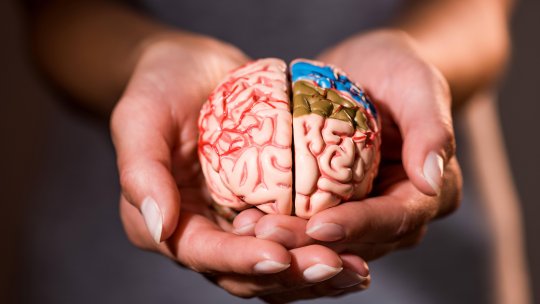 SMART Brain
