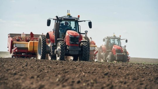 Fermierii români sunt nemulţumiţi că preţul grâului scade