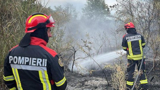 Intervenție în Franța a pompierilor români