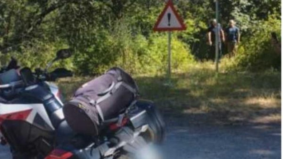 Motociclist atacat de un urs pe Transfăgărășan