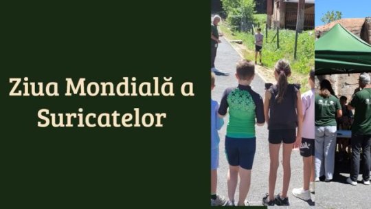 Ziua Mondială a Suricatelor a fost marcată la Zoo Brașov