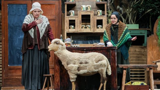 Teatrul Nottara și Teatrul de Comedie, marii câștigători ai Festivalului Săptămâna Comediei