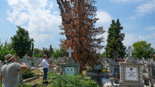 Contracte de concesiune anulate pentru unele locuri de veci din Cimitirul municipal