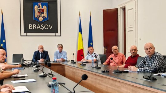 251 de arbori, periculoși pentru cei care se plimbă pe Aleea de sub Tâmpa