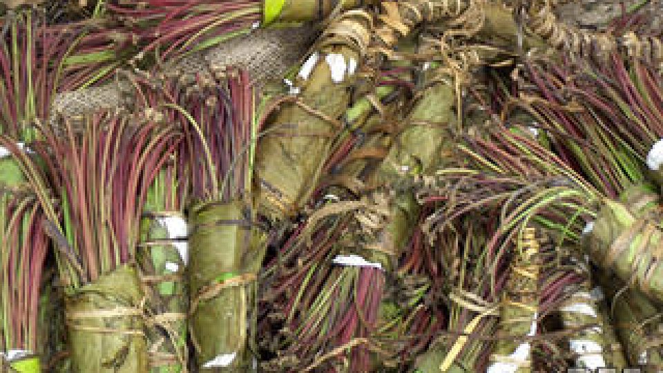 Captură impresionantă de khat pe aeroportul din Atena