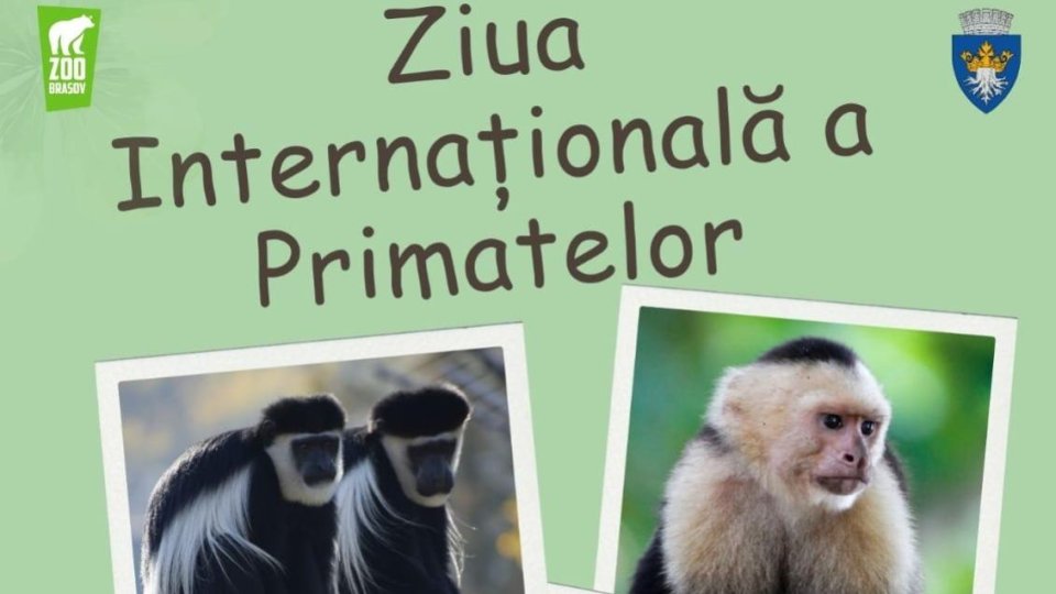 Ziua Internațională a Primatelor va fi sărbătorită la Zoo Brașov