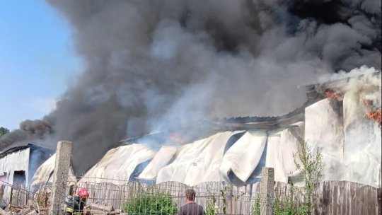 Incendiu la un service auto din localitatea Rupea