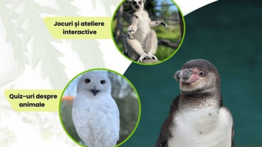 Ziua Internațională a Grădinilor Zoologice și a Parcurilor va fi marcată și la Brașov