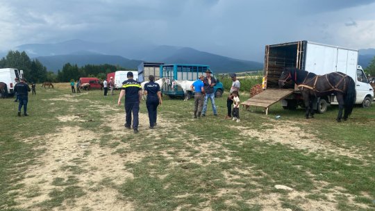 Polițiștii au dat amenzi de 17.000 de lei la un târg de animale din Lisa
