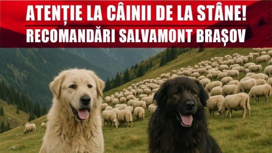 Atenţie la câinii de la stâne!