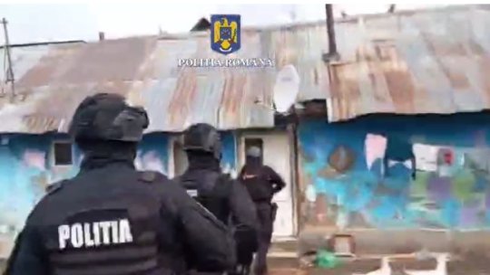 Persoane acuzate de ultraj și furt de arbori reținute de Poliția Brașov