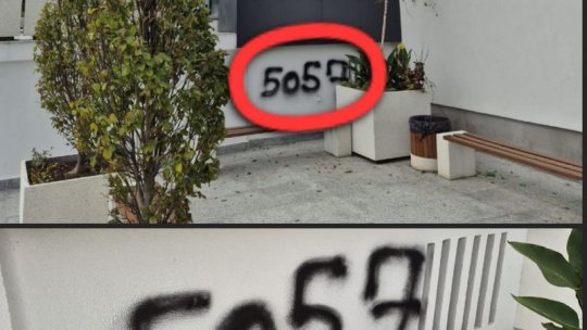 Un tânăr din Victoria și-a "pictat" amenda cu mâna lui