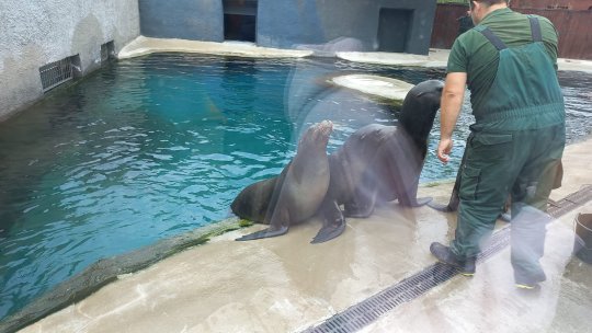 Ziua Mediului Marin a fost sărbătorită la Zoo Brașov